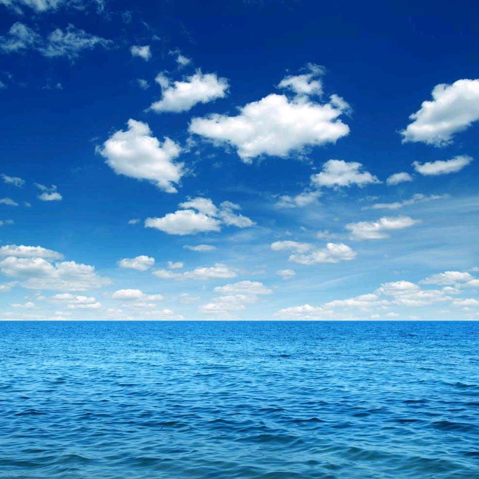 海上旅行者