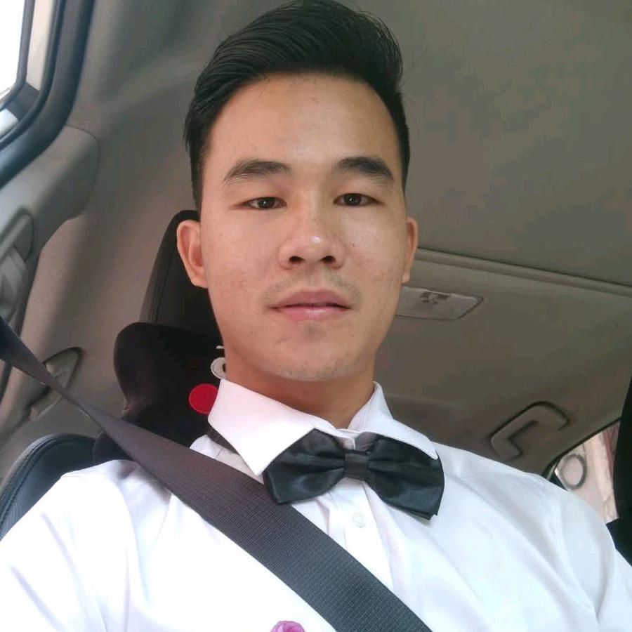 圣通汽车电子