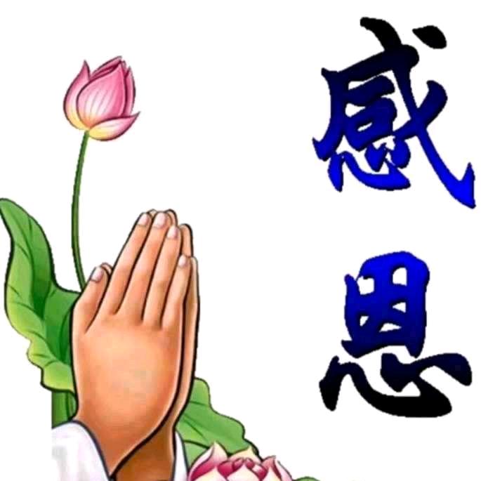 龙腾凤集