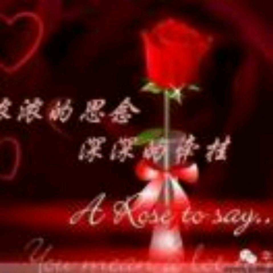 伟妈（拒绝私聊合拍私聊拉黑）