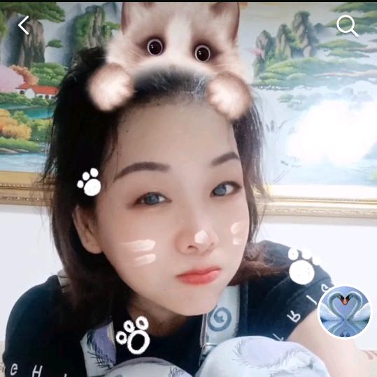 秋叶静美