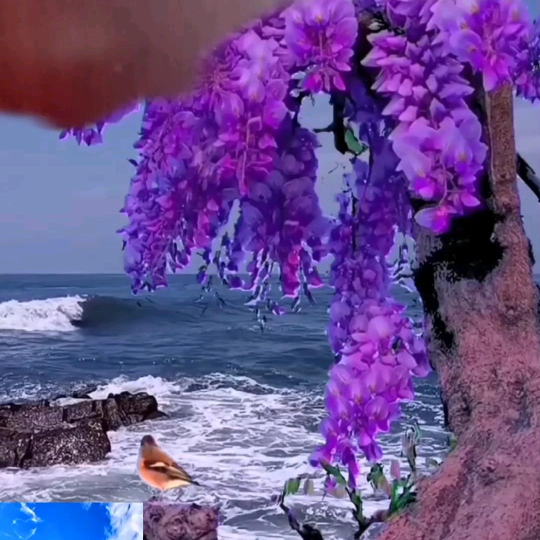 农村牛哥