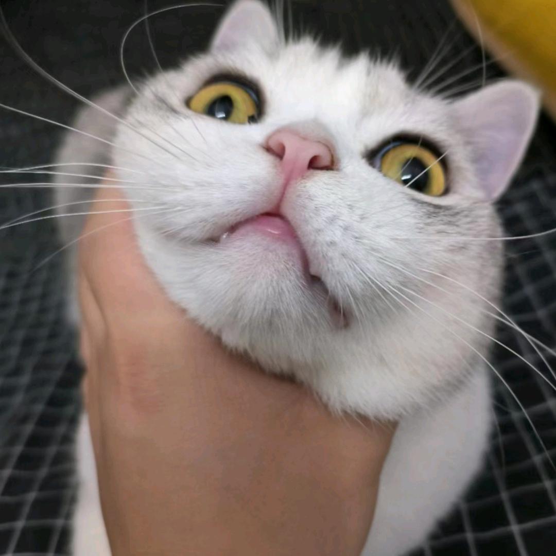 🌈 。