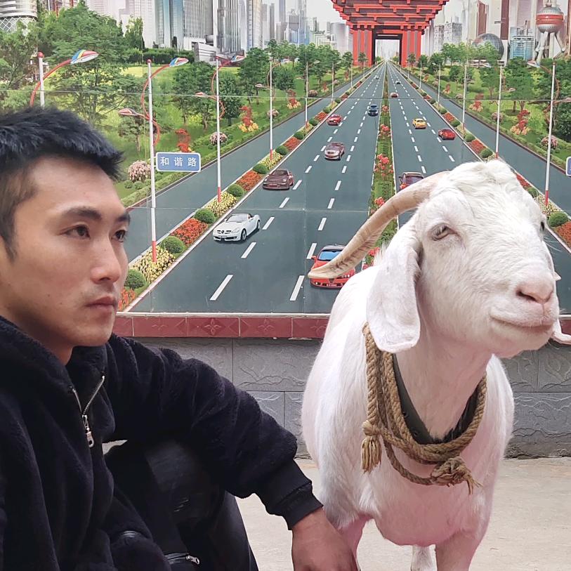山羊弟