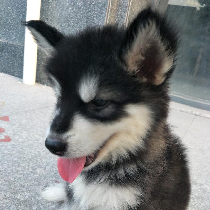 不疯魔不成活