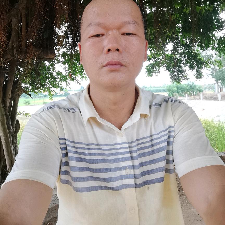 看图说话