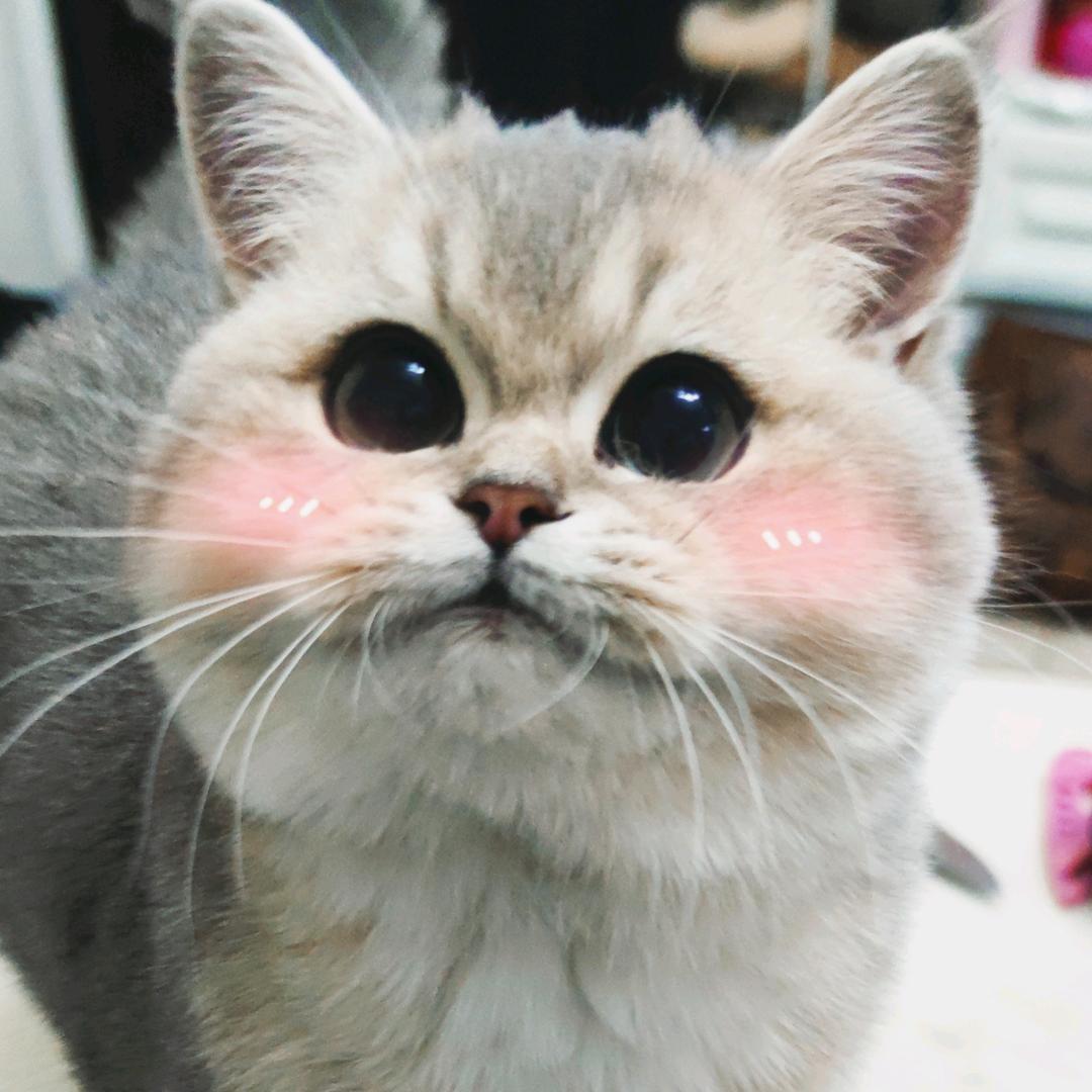 草药❤️