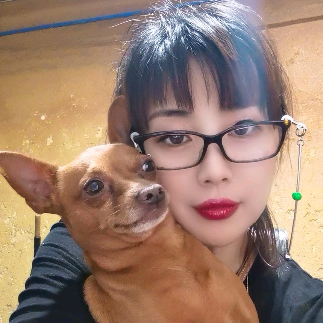 晓慧