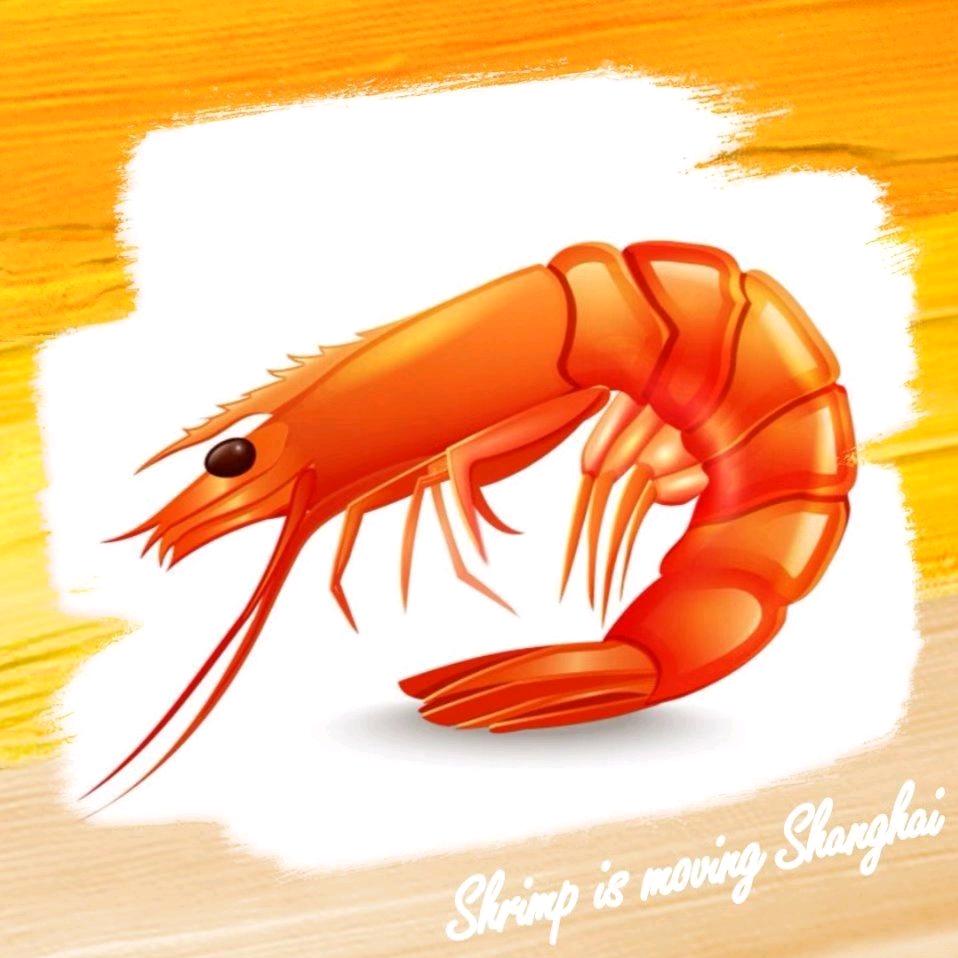 小蝦米搬上海继续