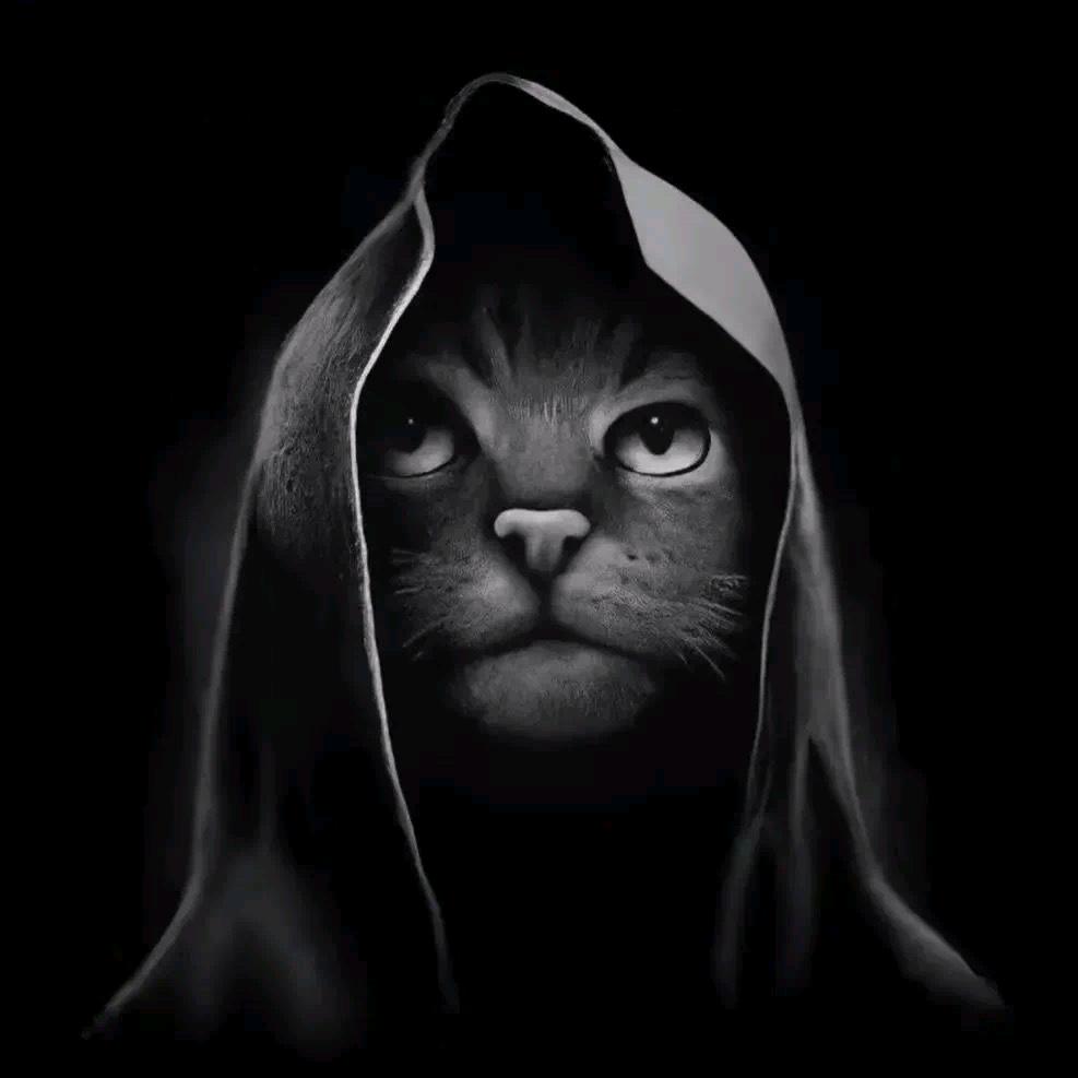 陌生人