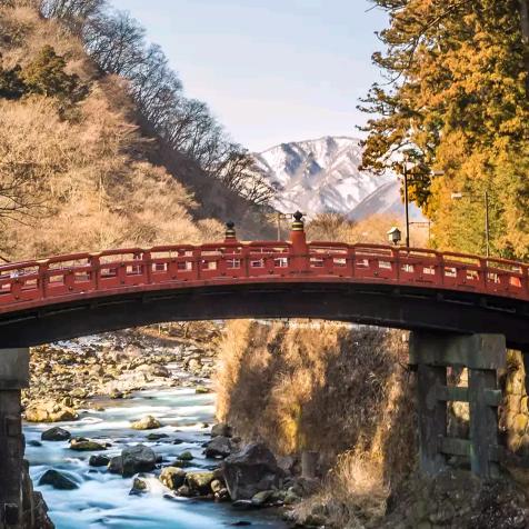 🔥🔥🔥莫干山板材   定制家