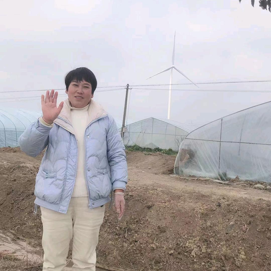 俩琪奶