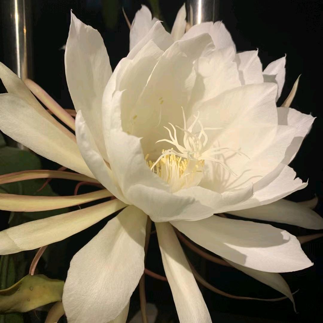 勤儿🌸