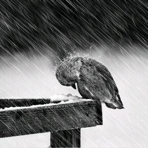 水无痕