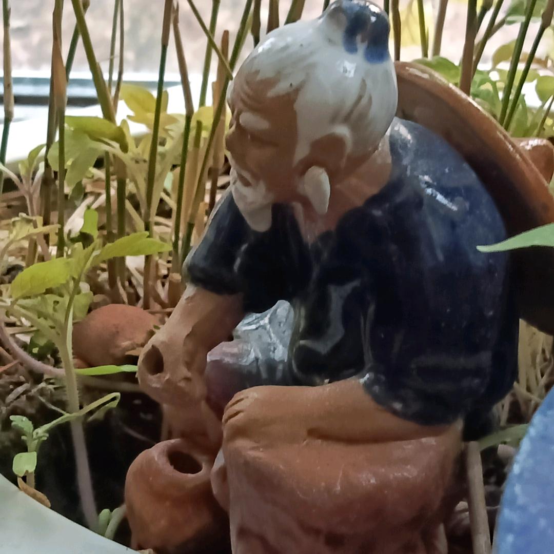随风者