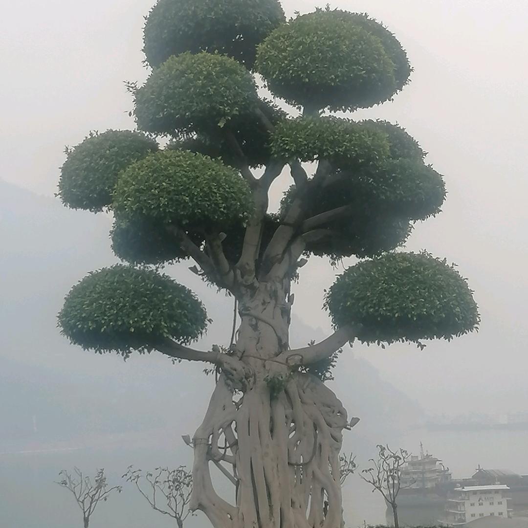 O奋斗一身