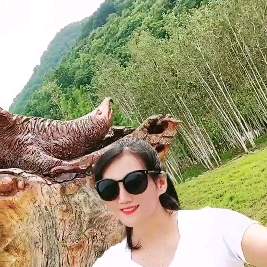 就等你丽姐
