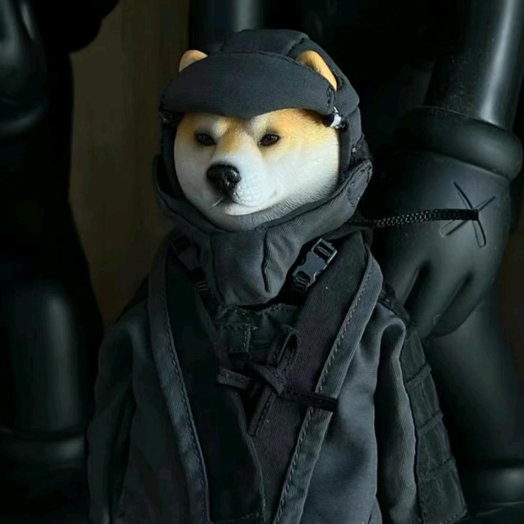 一李轻风