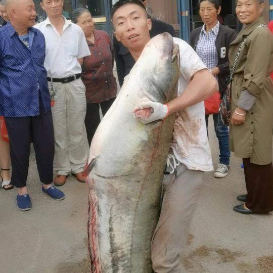 资阳市雁江区陈老幺渔具店