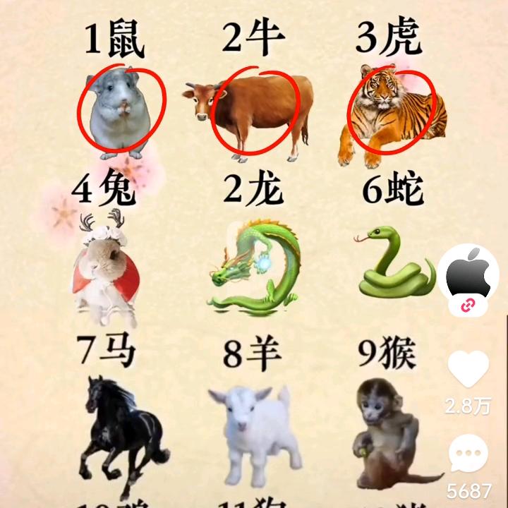 相信