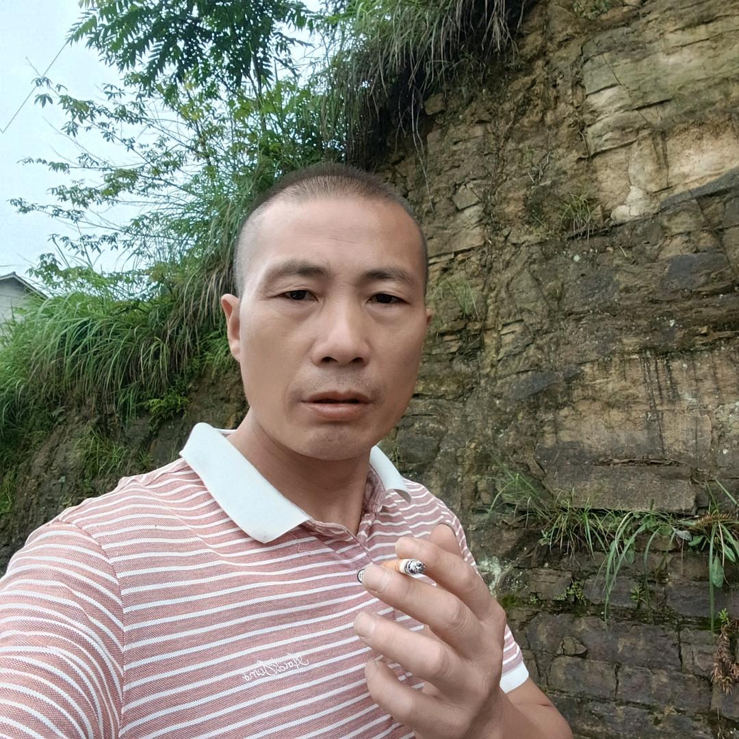 黔龙