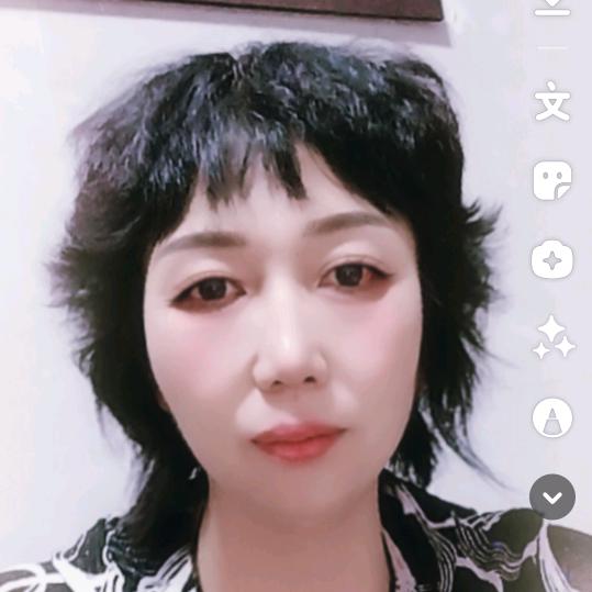 掸子