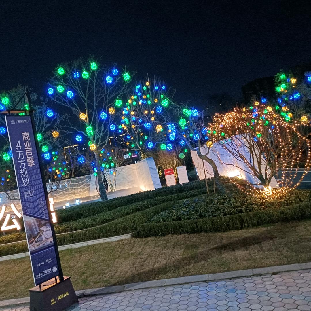 龙