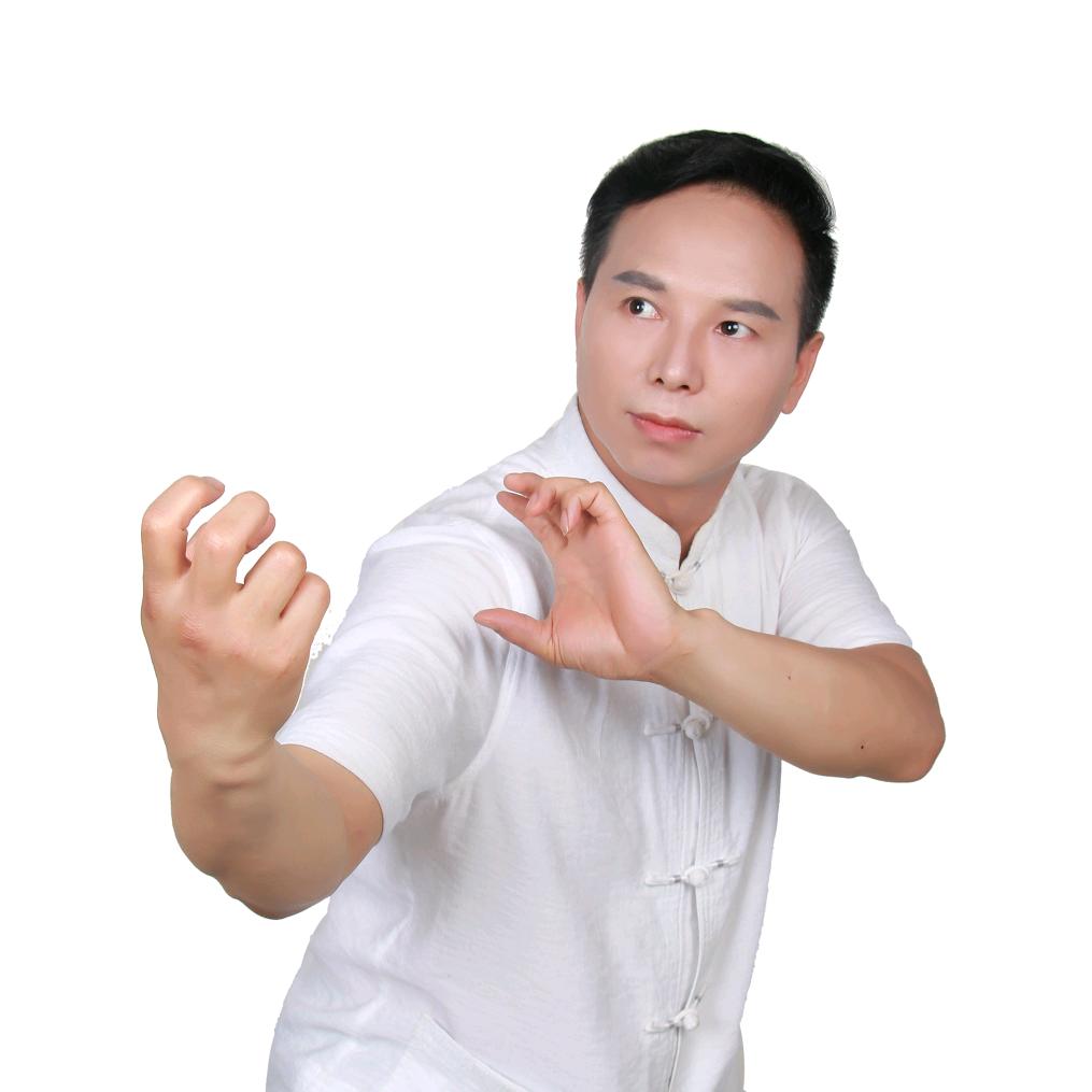 龙传手法