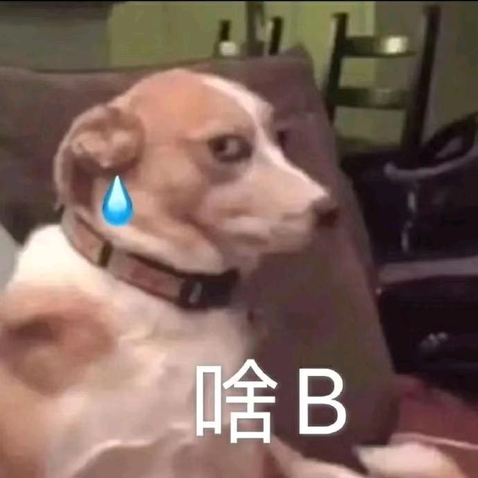WeJHee