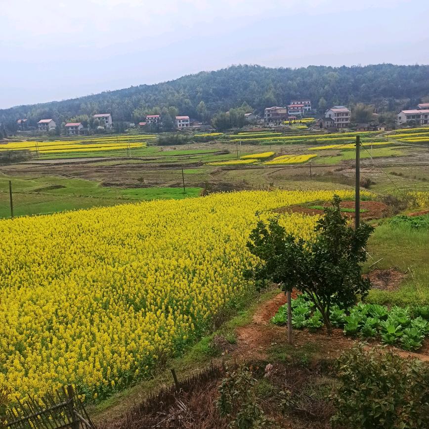 山野闲人