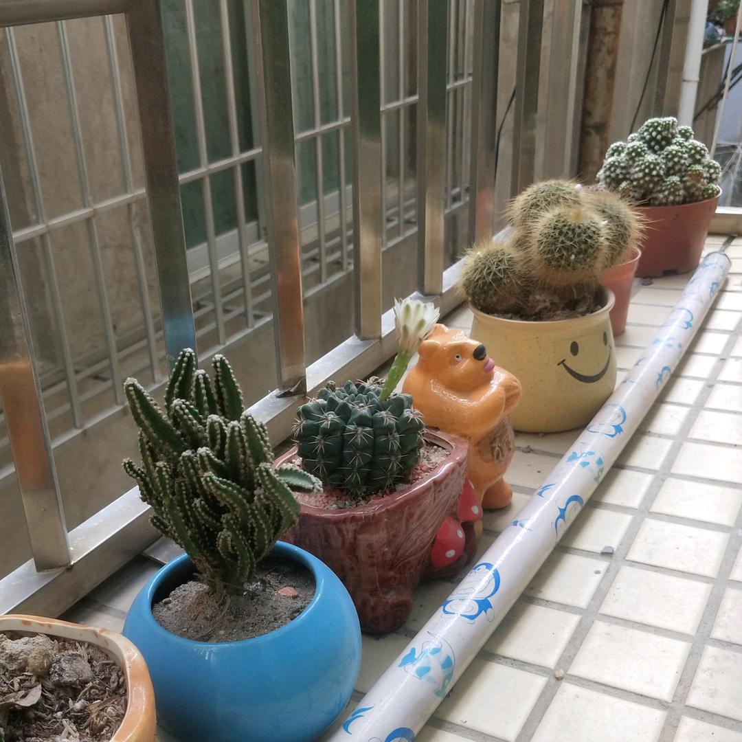 很高兴认识你