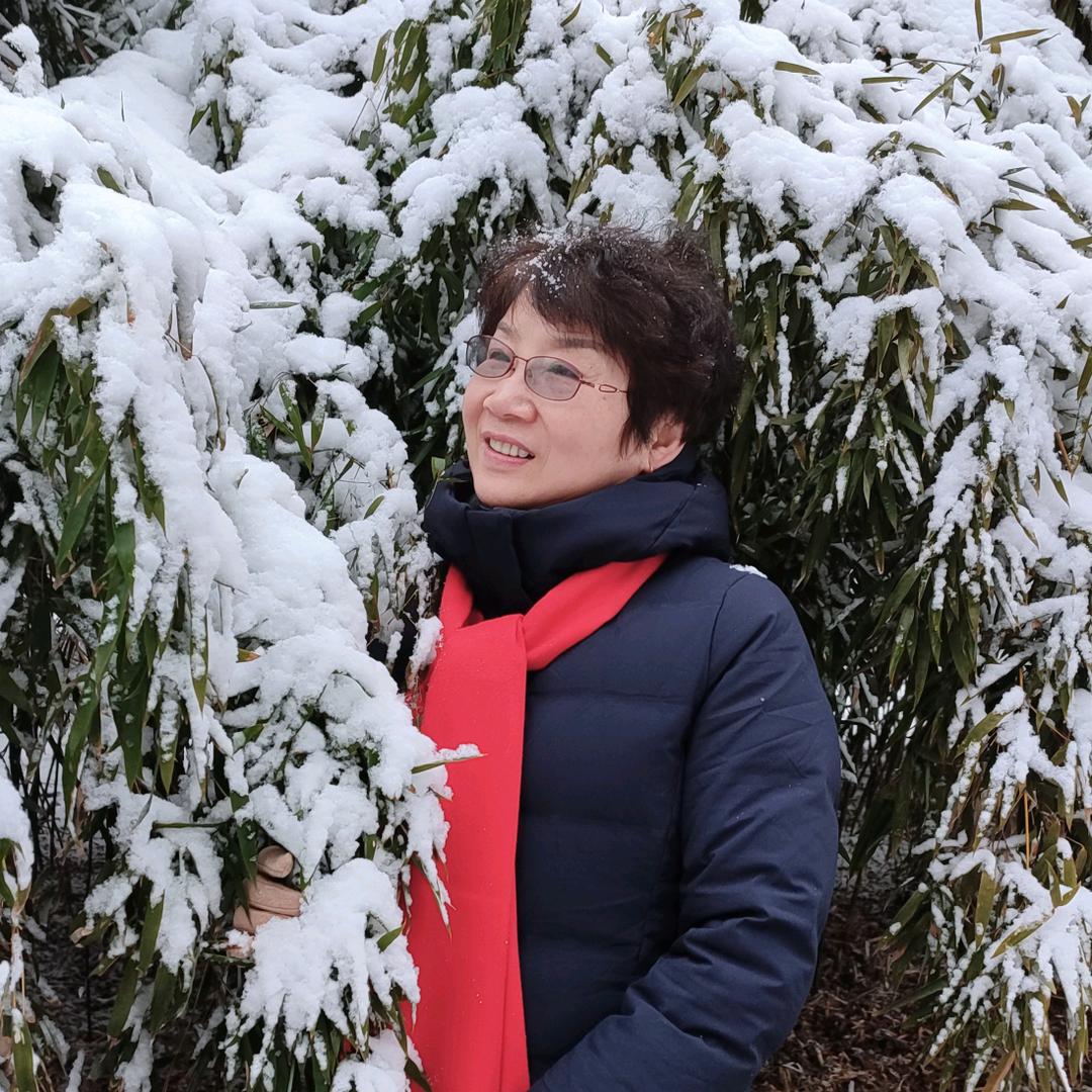 寒梅傲雪（拒绝聊天)