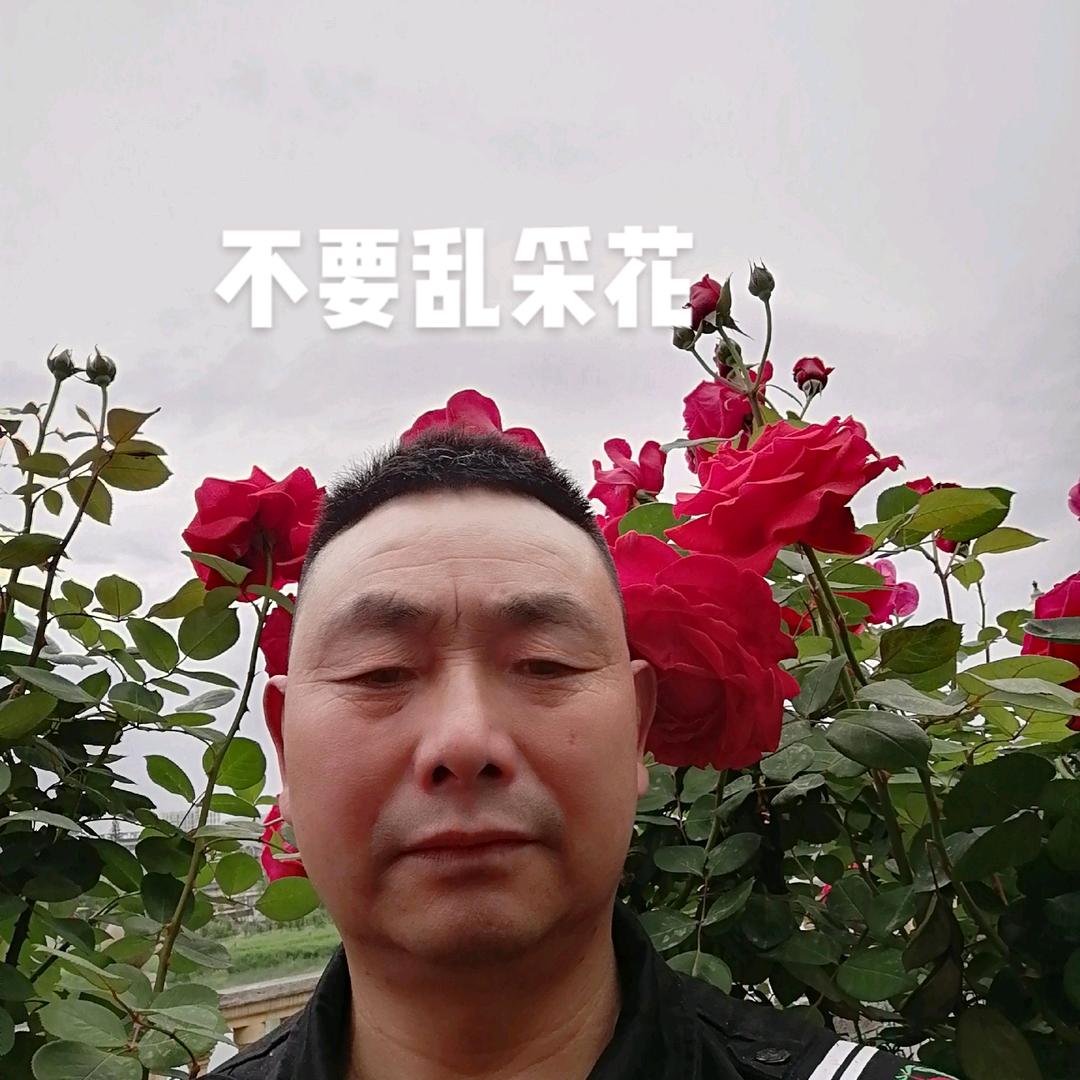 蒲大哥