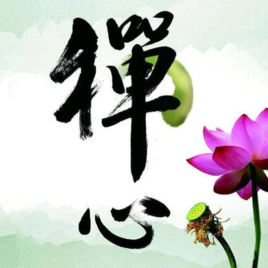 🚀过客阿强🌅