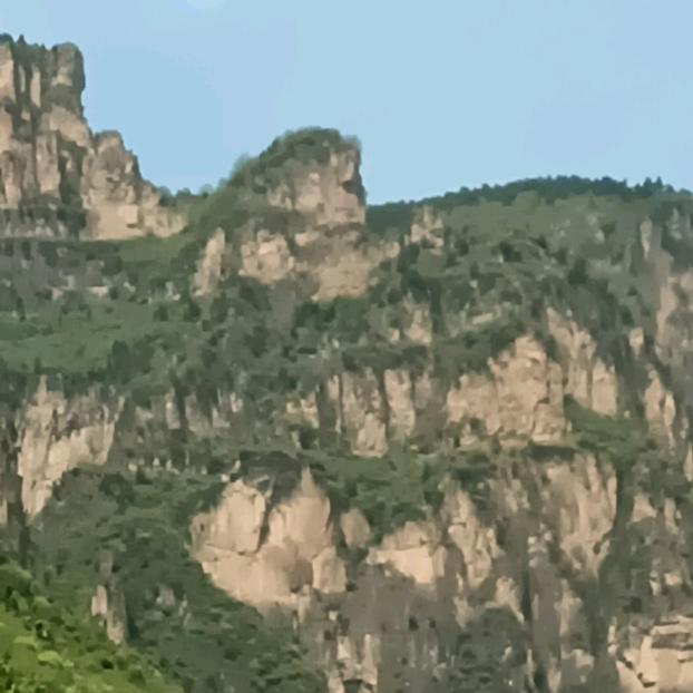 李郝男