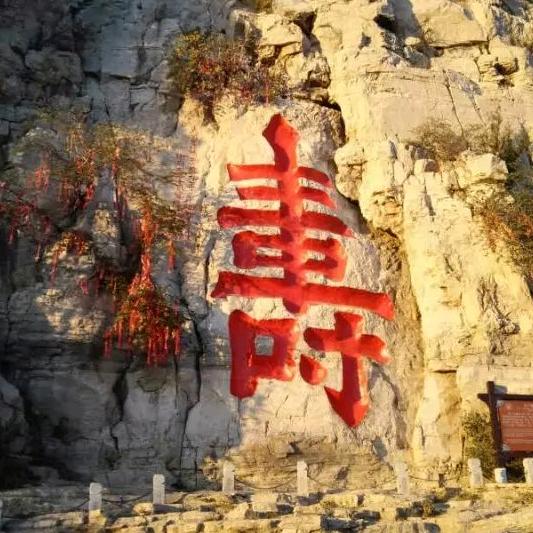 青岛大龙