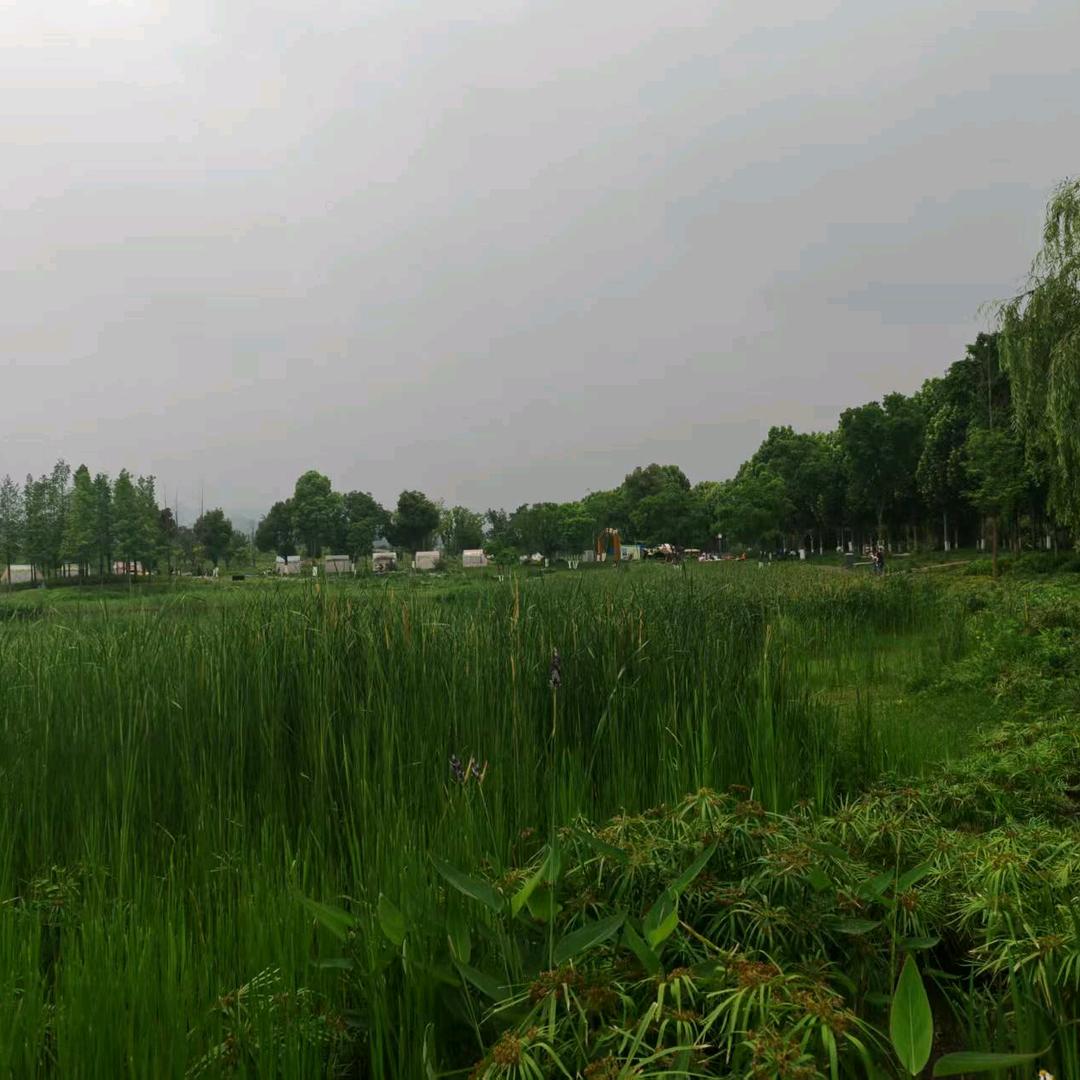 精致女人秘密