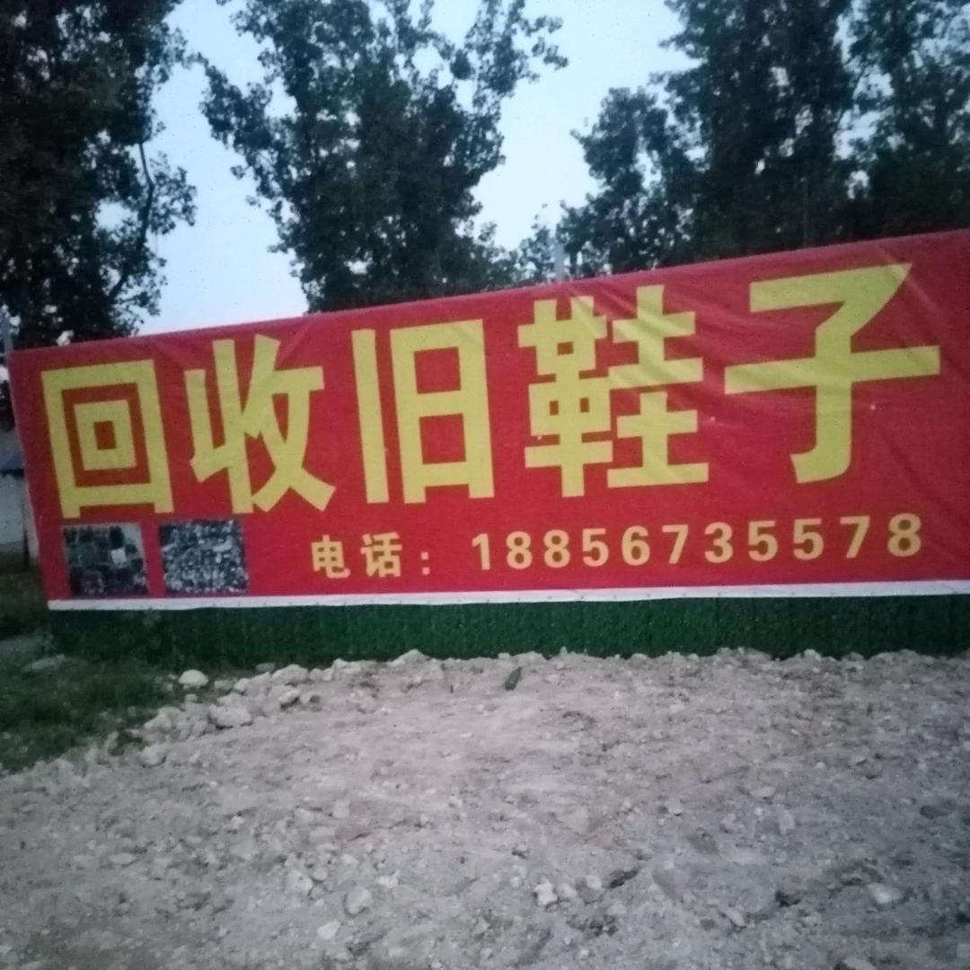 陈皊