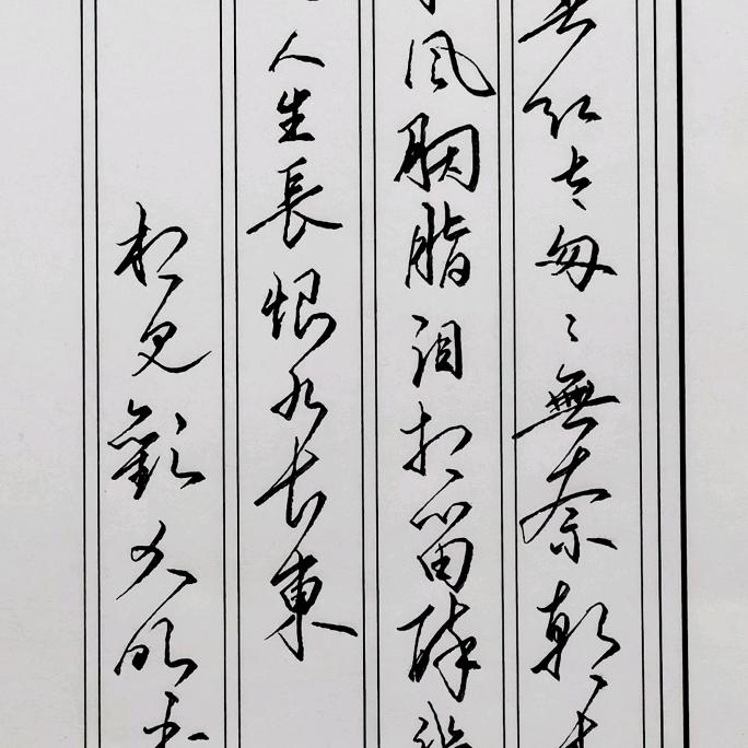 大明手写