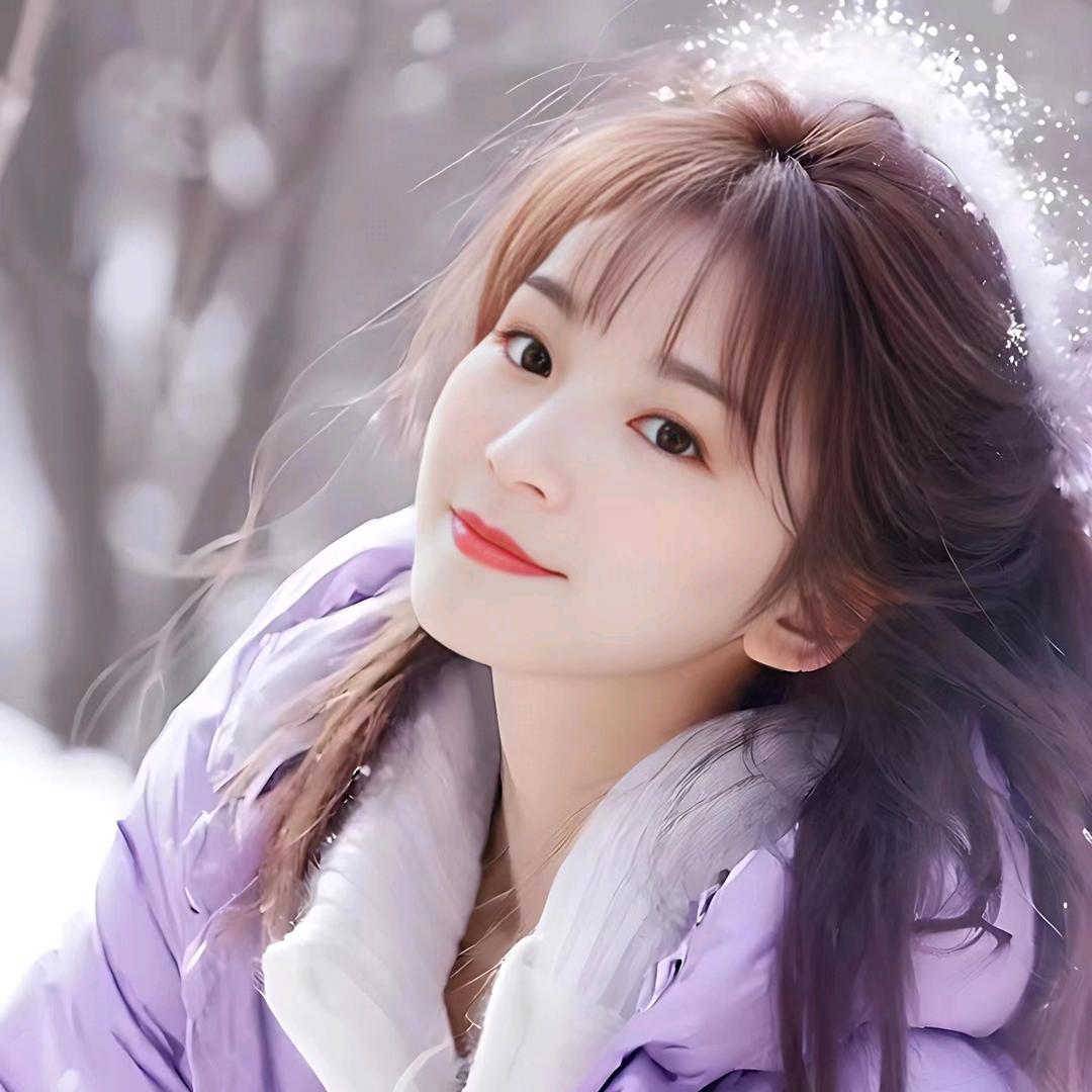 燕子H