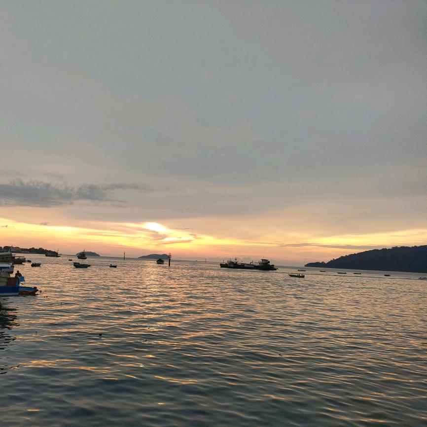 半价车商批发