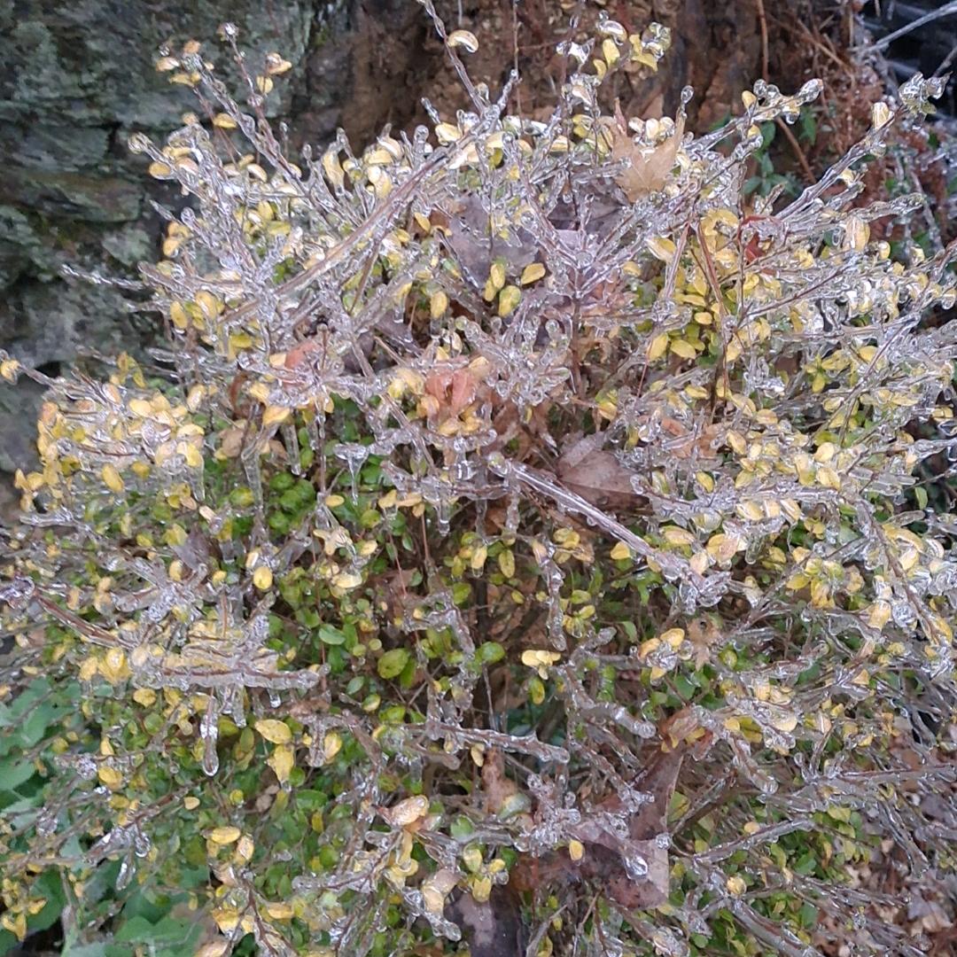 为爱执着