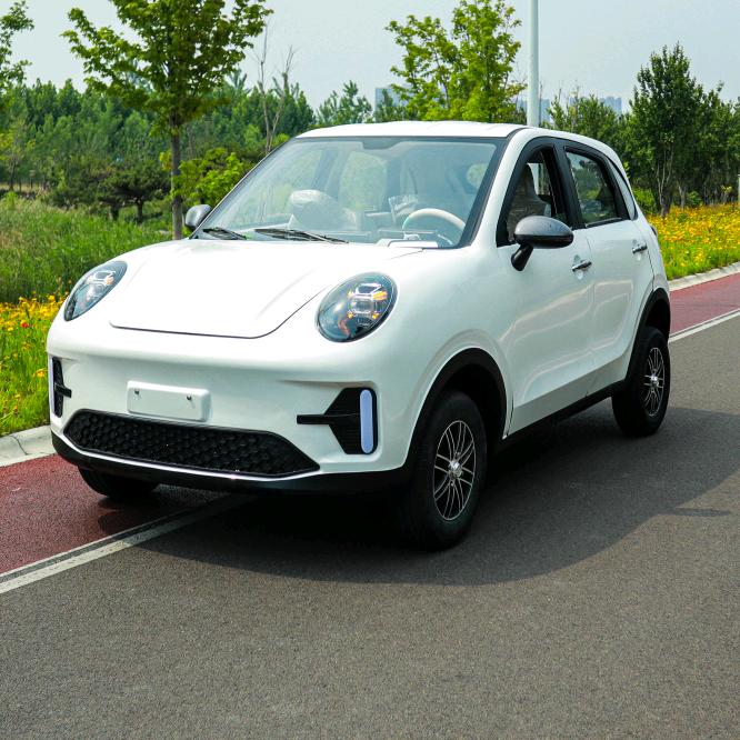 鑫舜新能低速四轮车