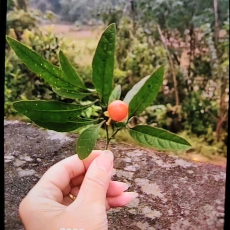 封❤️锁爱