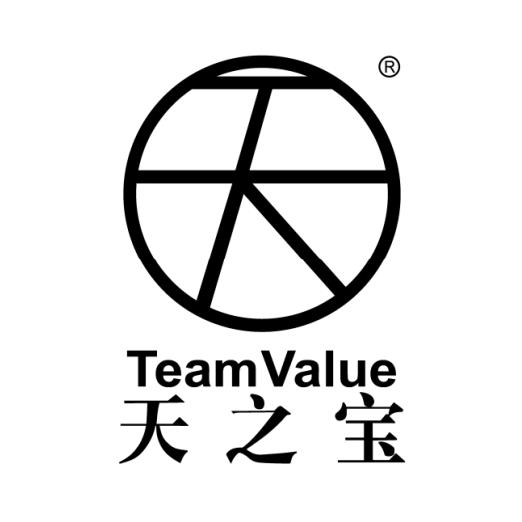 天之宝新材