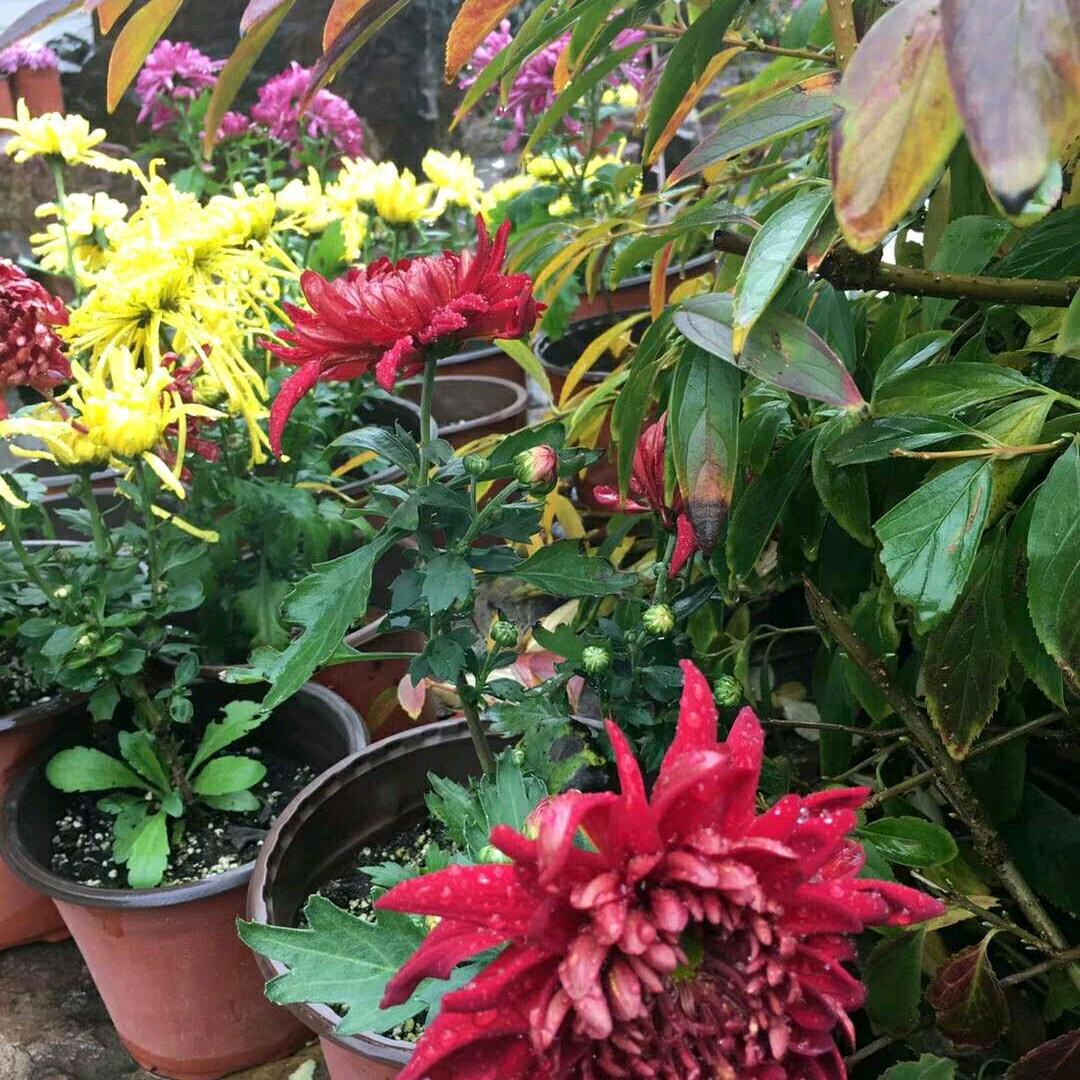 🌷萍🌺水🐰相🌸逢🌻xy