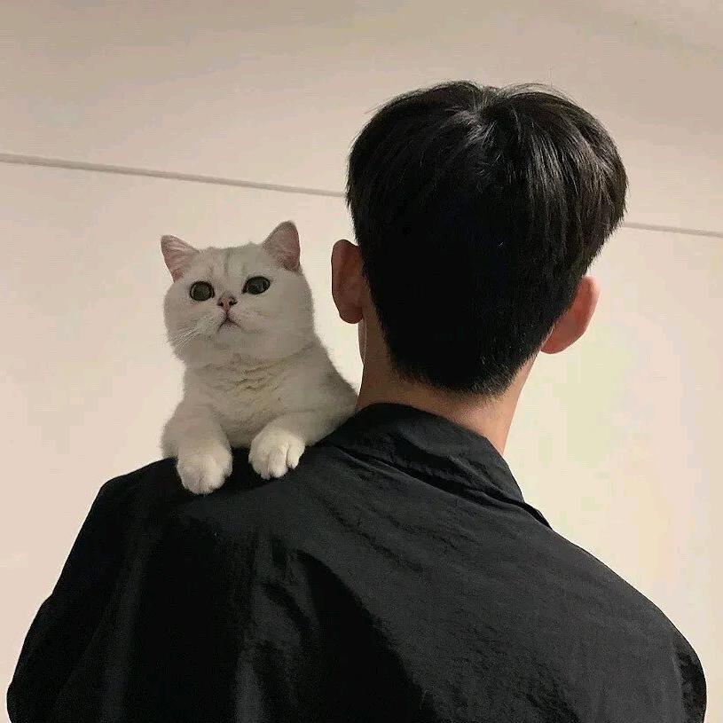 得不到才想要