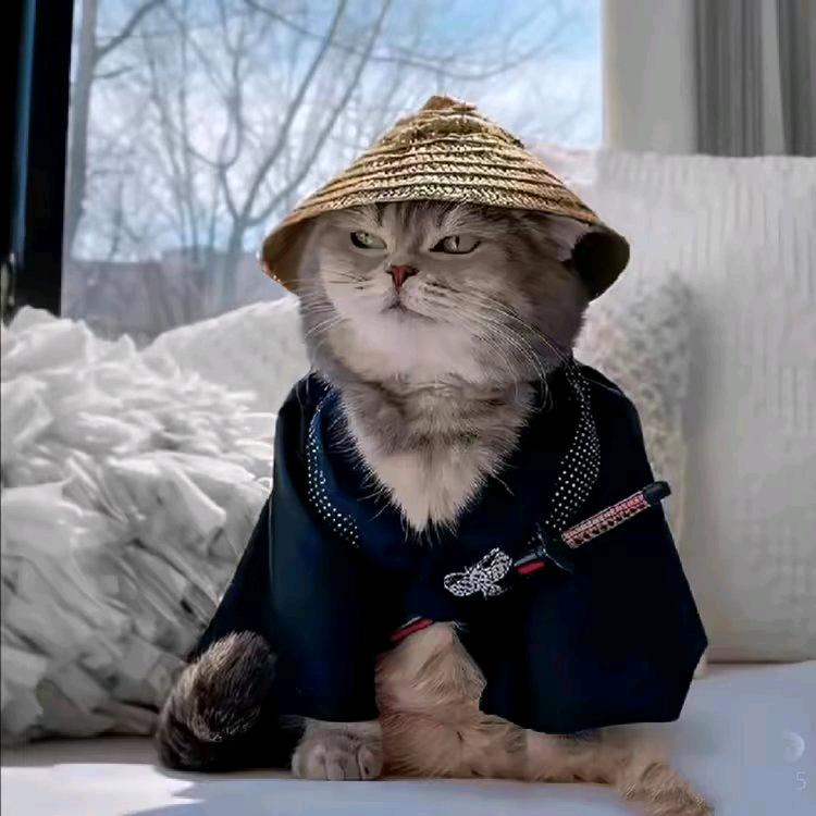 陆浩重生记