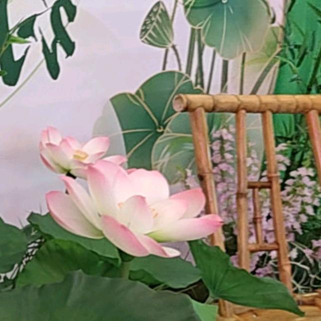 跑跑来了