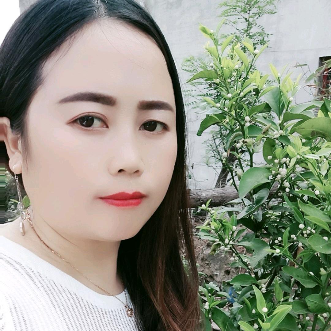 ✨冷月蔷薇
